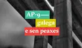 O BNG de Oroso solicita a gratuidade do tramo Sigüeiro-Santiago da AP9