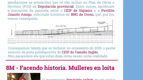 Boletin0-Oroso_def-001